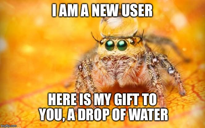 I AM A NEW USER HERE IS MY GIFT TO YOU, A DROP OF WATER | made w/ Imgflip meme maker