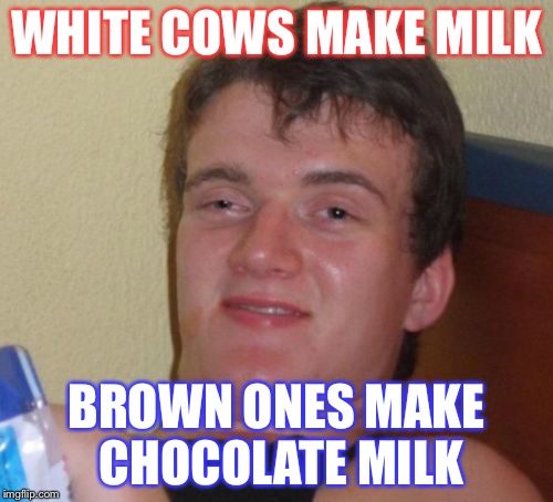 10 Guy Meme | WHITE COWS MAKE MILK; BROWN ONES MAKE CHOCOLATE MILK | image tagged in memes,10 guy | made w/ Imgflip meme maker