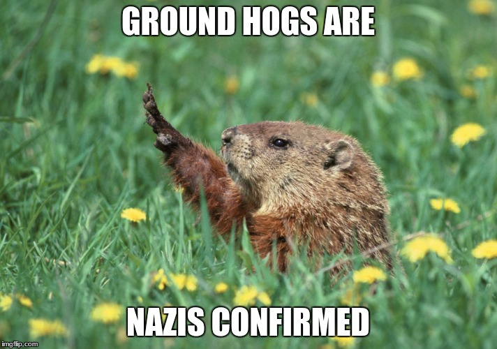 Nazis are in the animal kingdom | GROUND HOGS ARE; NAZIS CONFIRMED | image tagged in nazis,nazi,ground hog,animal,animals,funny | made w/ Imgflip meme maker