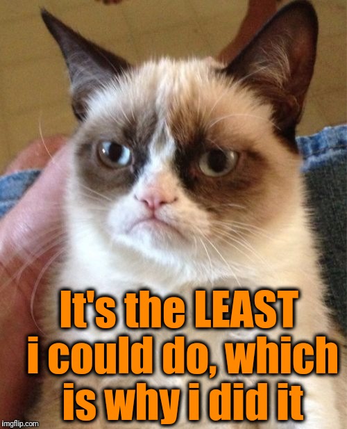 Grumpy Cat Meme | It's the LEAST i could do, which is why i did it | image tagged in memes,grumpy cat | made w/ Imgflip meme maker