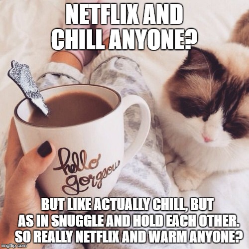 Netflix and Chill 2.0 | NETFLIX AND CHILL ANYONE? BUT LIKE ACTUALLY CHILL, BUT AS IN SNUGGLE AND HOLD EACH OTHER. SO REALLY NETFLIX AND WARM ANYONE? | image tagged in netflix and chill,wholesome memes,snuggles,cuddles,intimacy | made w/ Imgflip meme maker