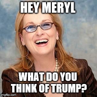 Hey Meryl | HEY MERYL; WHAT DO YOU THINK OF TRUMP? | image tagged in trump,meryl streep,lol,joke | made w/ Imgflip meme maker