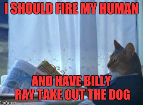 I Should Buy A Boat Cat | I SHOULD FIRE MY HUMAN; AND HAVE BILLY RAY TAKE OUT THE DOG | image tagged in memes,i should buy a boat cat | made w/ Imgflip meme maker