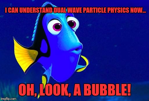 Bad Memory Fish | I CAN UNDERSTAND DUAL WAVE PARTICLE PHYSICS NOW... OH, LOOK, A BUBBLE! | image tagged in bad memory fish | made w/ Imgflip meme maker