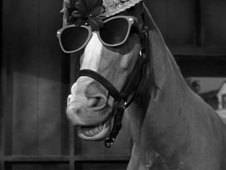 High Quality Mister Ed Blank Meme Template