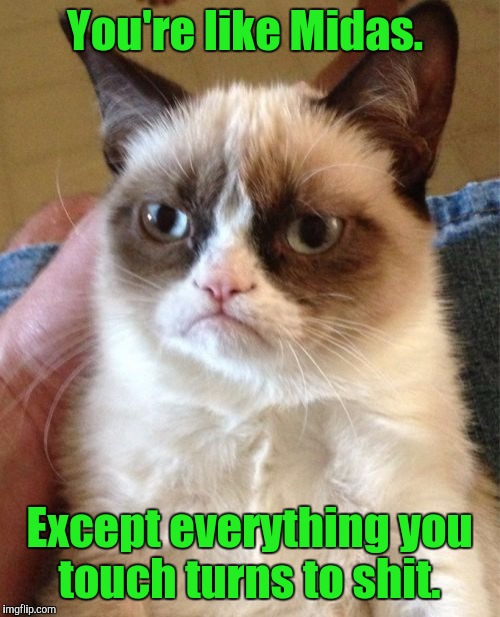 Grumpy Cat | You're like Midas. Except everything you touch turns to shit. | image tagged in memes,grumpy cat | made w/ Imgflip meme maker