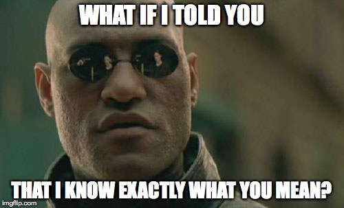 Matrix Morpheus Meme | WHAT IF I TOLD YOU THAT I KNOW EXACTLY WHAT YOU MEAN? | image tagged in memes,matrix morpheus | made w/ Imgflip meme maker