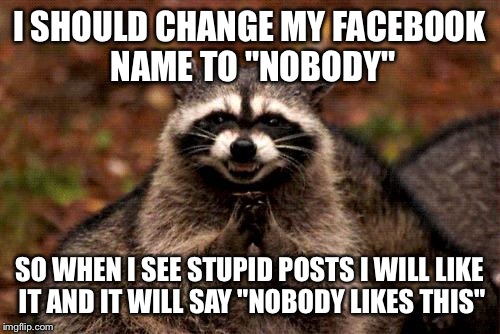Evil Plotting Raccoon | I SHOULD CHANGE MY FACEBOOK NAME TO "NOBODY"; SO WHEN I SEE STUPID POSTS I WILL LIKE IT AND IT WILL SAY "NOBODY LIKES THIS" | image tagged in memes,evil plotting raccoon | made w/ Imgflip meme maker