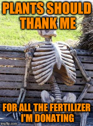 Waiting Skeleton Meme | PLANTS SHOULD THANK ME FOR ALL THE FERTILIZER I'M DONATING | image tagged in memes,waiting skeleton | made w/ Imgflip meme maker