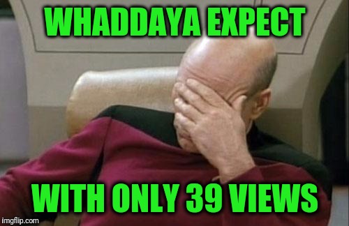 Captain Picard Facepalm Meme | WHADDAYA EXPECT WITH ONLY 39 VIEWS | image tagged in memes,captain picard facepalm | made w/ Imgflip meme maker