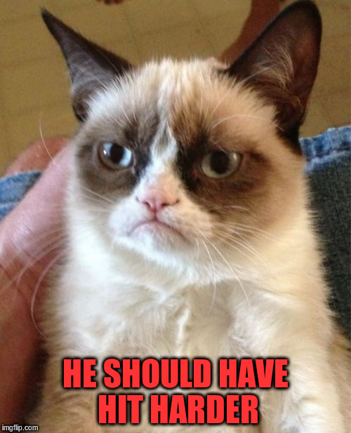 Grumpy Cat Meme | HE SHOULD HAVE HIT HARDER | image tagged in memes,grumpy cat | made w/ Imgflip meme maker