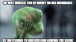 Geico Gecko | HE JUST SAVED A TON OF MONEY ON HIS INSURANCE; BY SWITCHING TO REVERSE AND LEAVING THE SCENE | image tagged in geico gecko | made w/ Imgflip meme maker