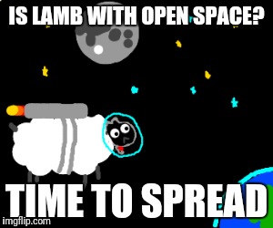 IS LAMB WITH OPEN SPACE? TIME TO SPREAD | made w/ Imgflip meme maker