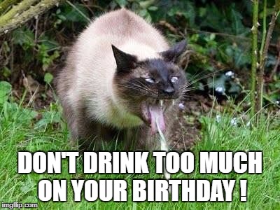 Cat Barfing | DON'T DRINK TOO MUCH ON YOUR BIRTHDAY ! | image tagged in cat barfing | made w/ Imgflip meme maker