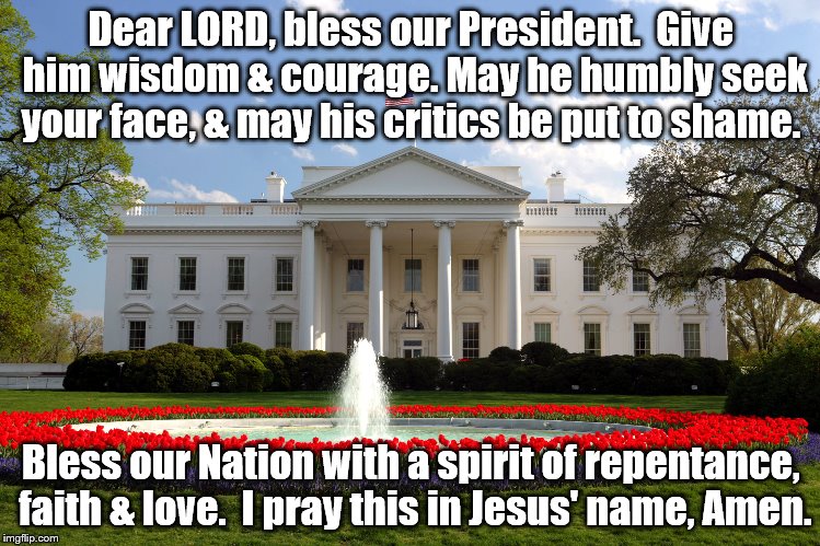 A prayer for our nation. | Dear LORD, bless our President.  Give him wisdom & courage. May he humbly seek your face, & may his critics be put to shame. Bless our Nation with a spirit of repentance, faith & love.  I pray this in Jesus' name, Amen. | image tagged in president trump,memes,united states | made w/ Imgflip meme maker
