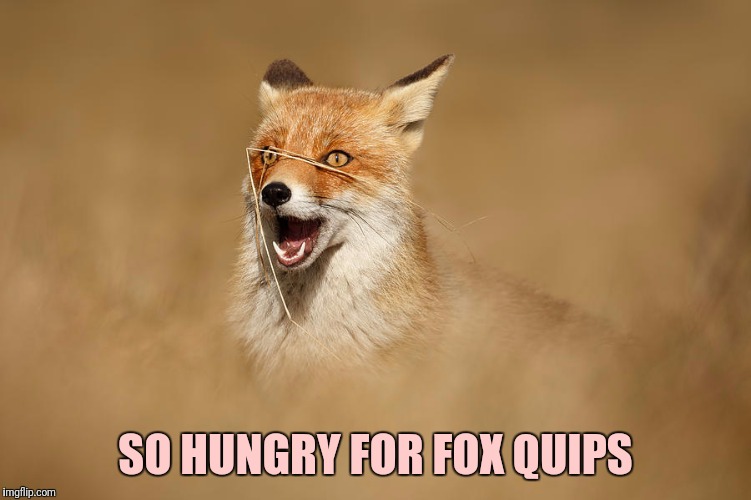 SO HUNGRY FOR FOX QUIPS | made w/ Imgflip meme maker