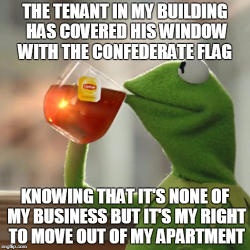 Somewhat of a true store taking place on the lower east side of New York City | THE TENANT IN MY BUILDING HAS COVERED HIS WINDOW WITH THE CONFEDERATE FLAG; KNOWING THAT IT'S NONE OF MY BUSINESS BUT IT'S MY RIGHT TO MOVE OUT OF MY APARTMENT | image tagged in memes,but thats none of my business,kermit the frog,confederate flag | made w/ Imgflip meme maker