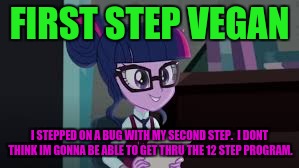 FIRST STEP VEGAN I STEPPED ON A BUG WITH MY SECOND STEP.  I DONT THINK IM GONNA BE ABLE TO GET THRU THE 12 STEP PROGRAM. | made w/ Imgflip meme maker