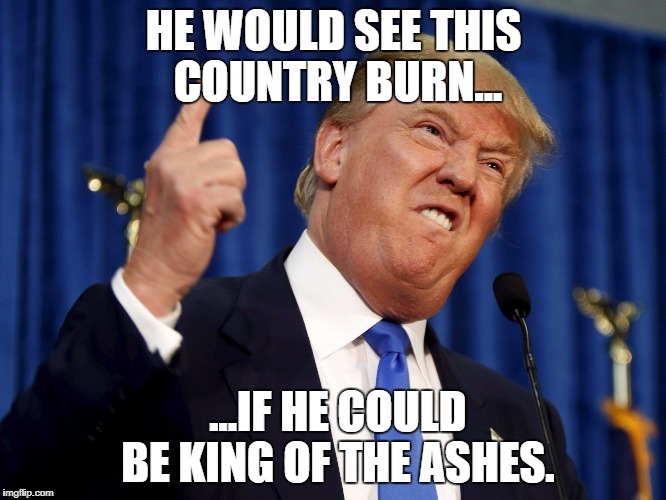 HE WOULD SEE THIS COUNTRY BURN... ...IF HE COULD BE KING OF THE ASHES. | image tagged in trumpster fire | made w/ Imgflip meme maker
