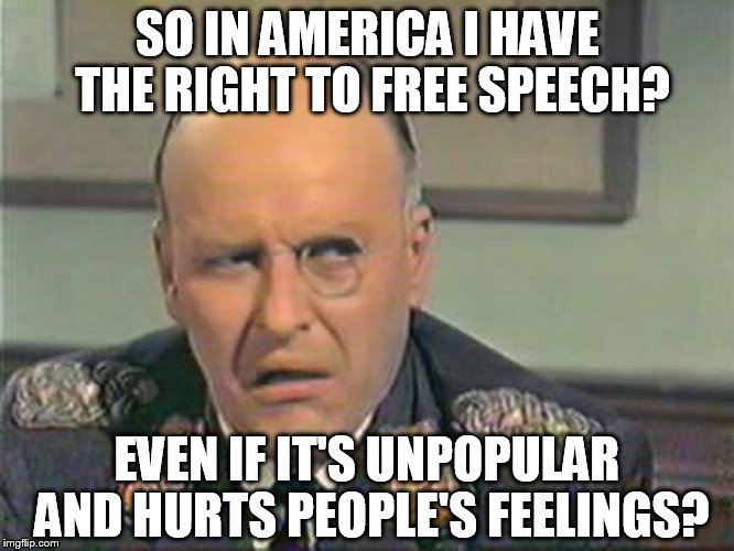 SO IN AMERICA I HAVE THE RIGHT TO FREE SPEECH? EVEN IF IT'S UNPOPULAR AND HURTS PEOPLE'S FEELINGS? | image tagged in constitution,1st amendment,united states of america | made w/ Imgflip meme maker