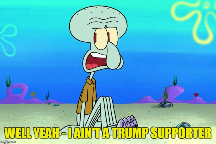 WELL YEAH - I AIN'T A TRUMP SUPPORTER | made w/ Imgflip meme maker