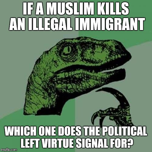 Philosoraptor | IF A MUSLIM KILLS AN ILLEGAL IMMIGRANT; WHICH ONE DOES THE POLITICAL LEFT VIRTUE SIGNAL FOR? | image tagged in memes,philosoraptor | made w/ Imgflip meme maker