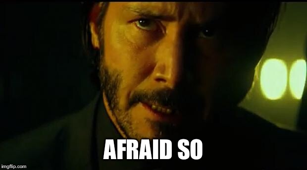 John Wick | AFRAID SO | image tagged in john wick | made w/ Imgflip meme maker