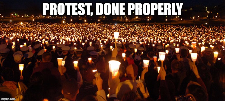 PROTEST, DONE PROPERLY | image tagged in proper protest | made w/ Imgflip meme maker
