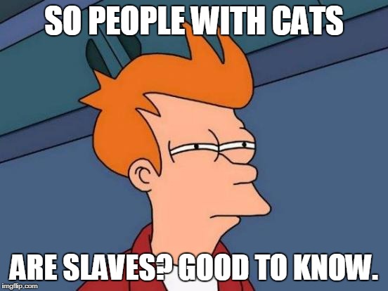 Futurama Fry Meme | SO PEOPLE WITH CATS ARE SLAVES? GOOD TO KNOW. | image tagged in memes,futurama fry | made w/ Imgflip meme maker