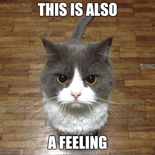 THIS IS ALSO A FEELING | made w/ Imgflip meme maker