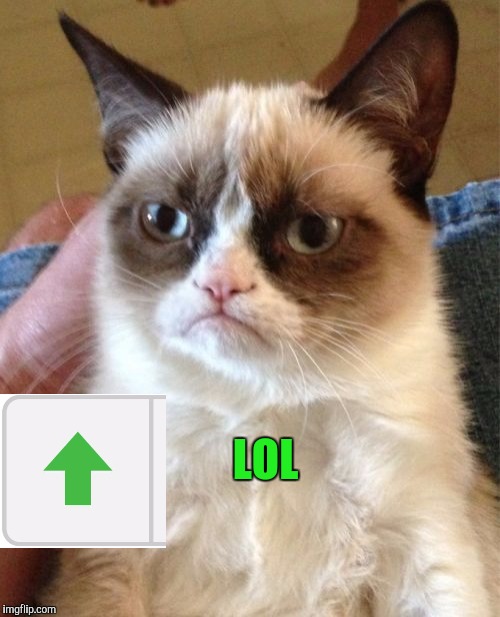 Grumpy Cat Meme | LOL | image tagged in memes,grumpy cat | made w/ Imgflip meme maker