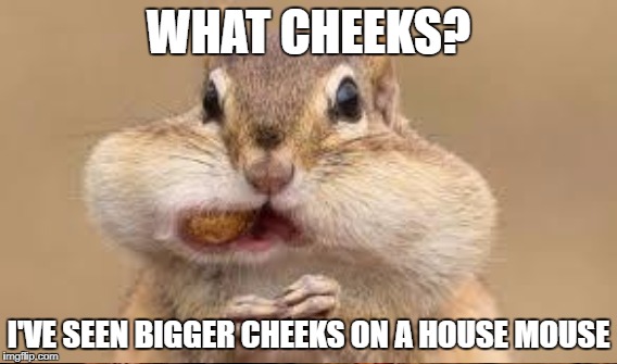 WHAT CHEEKS? I'VE SEEN BIGGER CHEEKS ON A HOUSE MOUSE | made w/ Imgflip meme maker