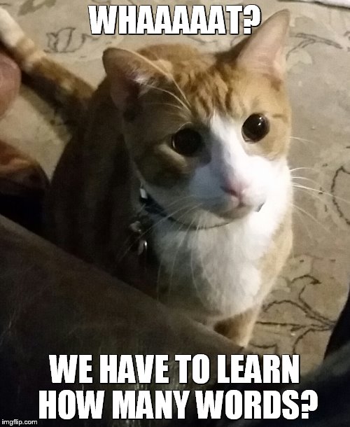 WHAAAAAT? WE HAVE TO LEARN HOW MANY WORDS? | image tagged in cooper eyes | made w/ Imgflip meme maker