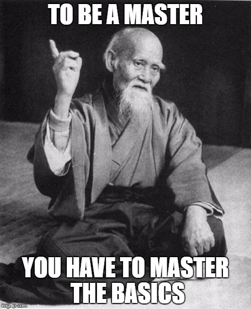 Wise Master | TO BE A MASTER; YOU HAVE TO MASTER THE BASICS | image tagged in wise master | made w/ Imgflip meme maker