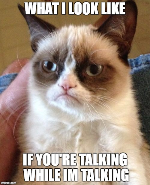 Grumpy Cat Meme | WHAT I LOOK LIKE; IF YOU'RE TALKING WHILE IM TALKING | image tagged in memes,grumpy cat | made w/ Imgflip meme maker