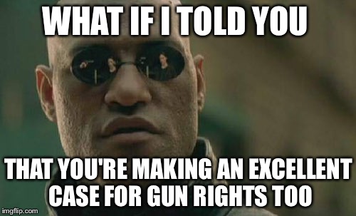Matrix Morpheus Meme | WHAT IF I TOLD YOU THAT YOU'RE MAKING AN EXCELLENT CASE FOR GUN RIGHTS TOO | image tagged in memes,matrix morpheus | made w/ Imgflip meme maker