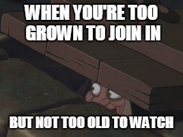 Flippers with FB accounts | WHEN YOU'RE TOO GROWN TO JOIN IN; BUT NOT TOO OLD TO WATCH | image tagged in lurking,funny,memes | made w/ Imgflip meme maker