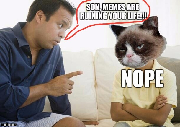 Gosh dang millenials | image tagged in grumpy cat | made w/ Imgflip meme maker