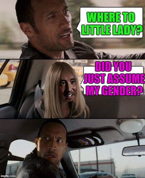 The rock driving who now? | WHERE TO LITTLE LADY? DID YOU JUST ASSUME MY GENDER? | image tagged in the rock driving with alien girl | made w/ Imgflip meme maker