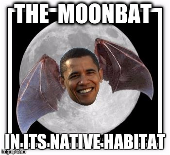 THE  MOONBAT; IN ITS NATIVE HABITAT | image tagged in moonbat | made w/ Imgflip meme maker