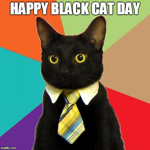 Black Cat Picture Day | HAPPY BLACK CAT DAY | image tagged in memes,business cat,black cat day,black cat,business casual cat,howdawnseesit | made w/ Imgflip meme maker