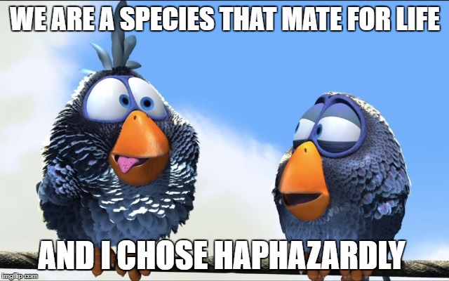 Blue Birds | WE ARE A SPECIES THAT MATE FOR LIFE; AND I CHOSE HAPHAZARDLY | image tagged in blue birds | made w/ Imgflip meme maker