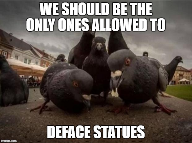 Pidgeons | WE SHOULD BE THE ONLY ONES ALLOWED TO; DEFACE STATUES | image tagged in pidgeons | made w/ Imgflip meme maker
