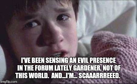 I See Dead People Meme | I'VE BEEN SENSING AN EVIL PRESENCE IN THE FORUM LATELY GARDENER, NOT OF THIS WORLD.  AND...I'M...
SCAAARRREEED. | image tagged in memes,i see dead people | made w/ Imgflip meme maker