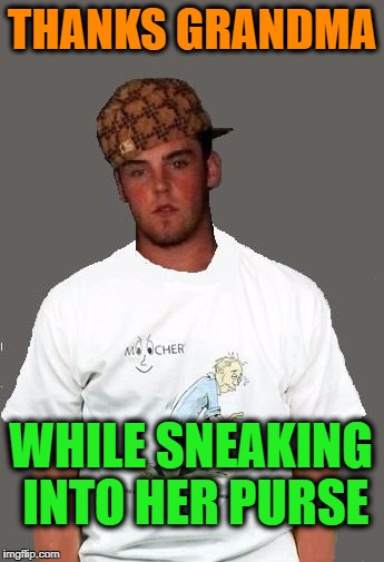 warmer season Scumbag Steve | THANKS GRANDMA WHILE SNEAKING INTO HER PURSE | image tagged in warmer season scumbag steve | made w/ Imgflip meme maker