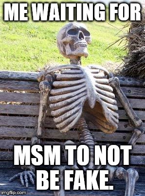 Waiting Skeleton | ME WAITING FOR; MSM TO NOT BE FAKE. | image tagged in memes,waiting skeleton | made w/ Imgflip meme maker
