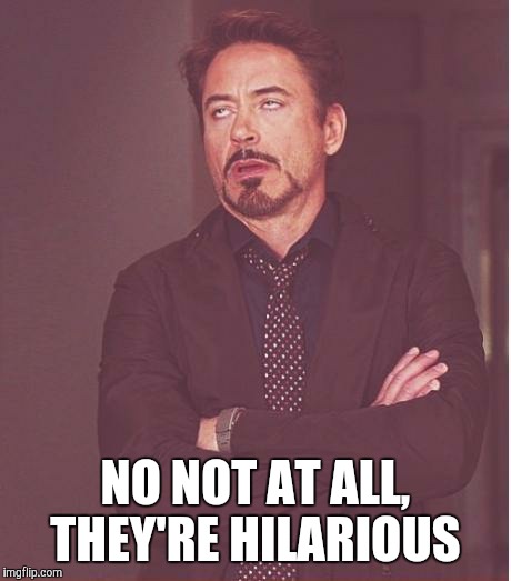 Face You Make Robert Downey Jr Meme | NO NOT AT ALL, THEY'RE HILARIOUS | image tagged in memes,face you make robert downey jr | made w/ Imgflip meme maker