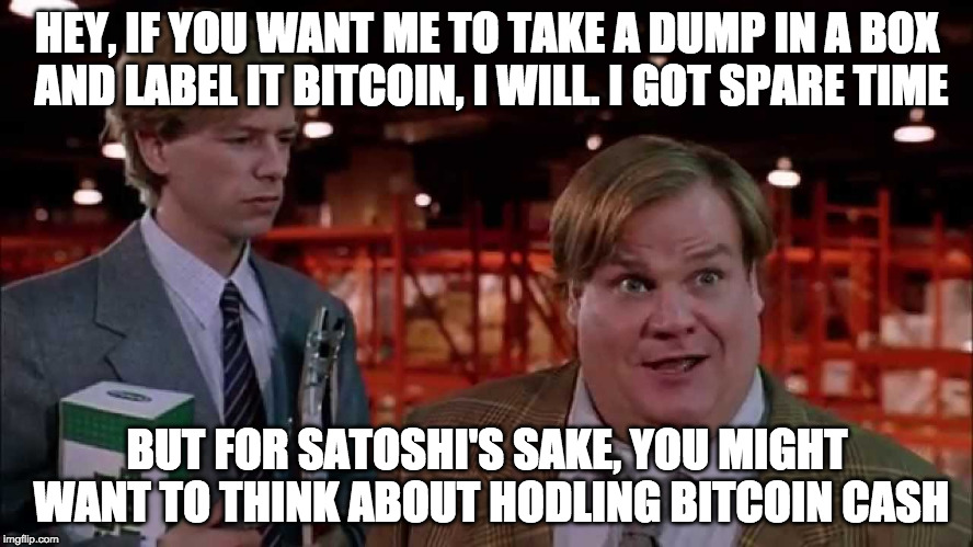 HEY, IF YOU WANT ME TO TAKE A DUMP IN A BOX AND LABEL IT BITCOIN, I WILL. I GOT SPARE TIME; BUT FOR SATOSHI'S SAKE, YOU MIGHT WANT TO THINK ABOUT HODLING BITCOIN CASH | made w/ Imgflip meme maker