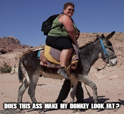 Does This Ass Make My Donkey Look Fat? | DOES  THIS  ASS  MAKE  MY  DONKEY  LOOK  FAT ? | image tagged in fat chick on donkey | made w/ Imgflip meme maker