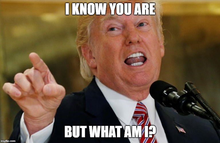 Trump says "I know you are but what am I?" | I KNOW YOU ARE; BUT WHAT AM I? | image tagged in donald trump | made w/ Imgflip meme maker